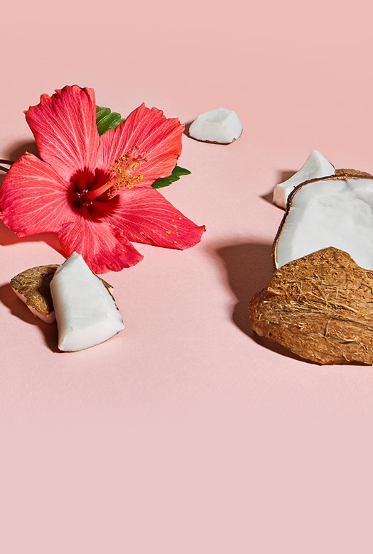 جوز الهند و الكركديه